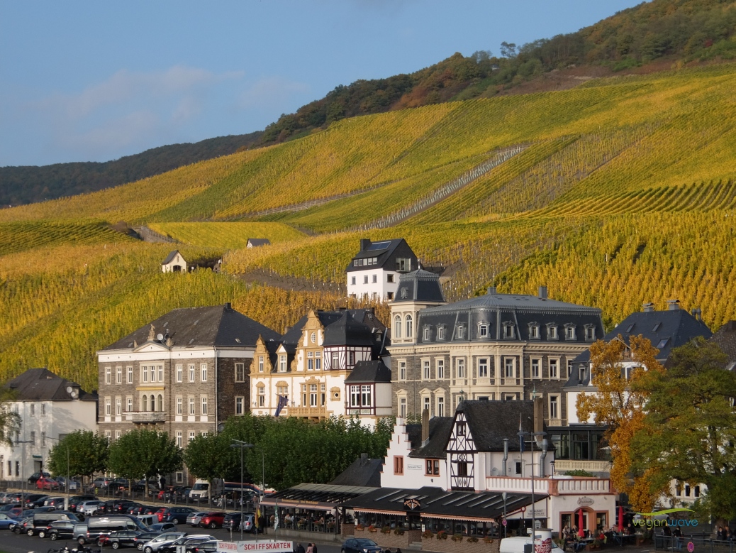 Hotel Nicolay Zeltingen