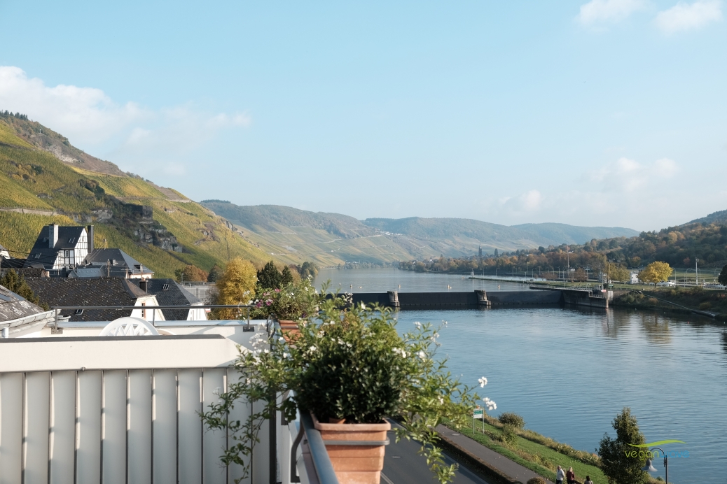 Hotel Nicolay Zeltingen