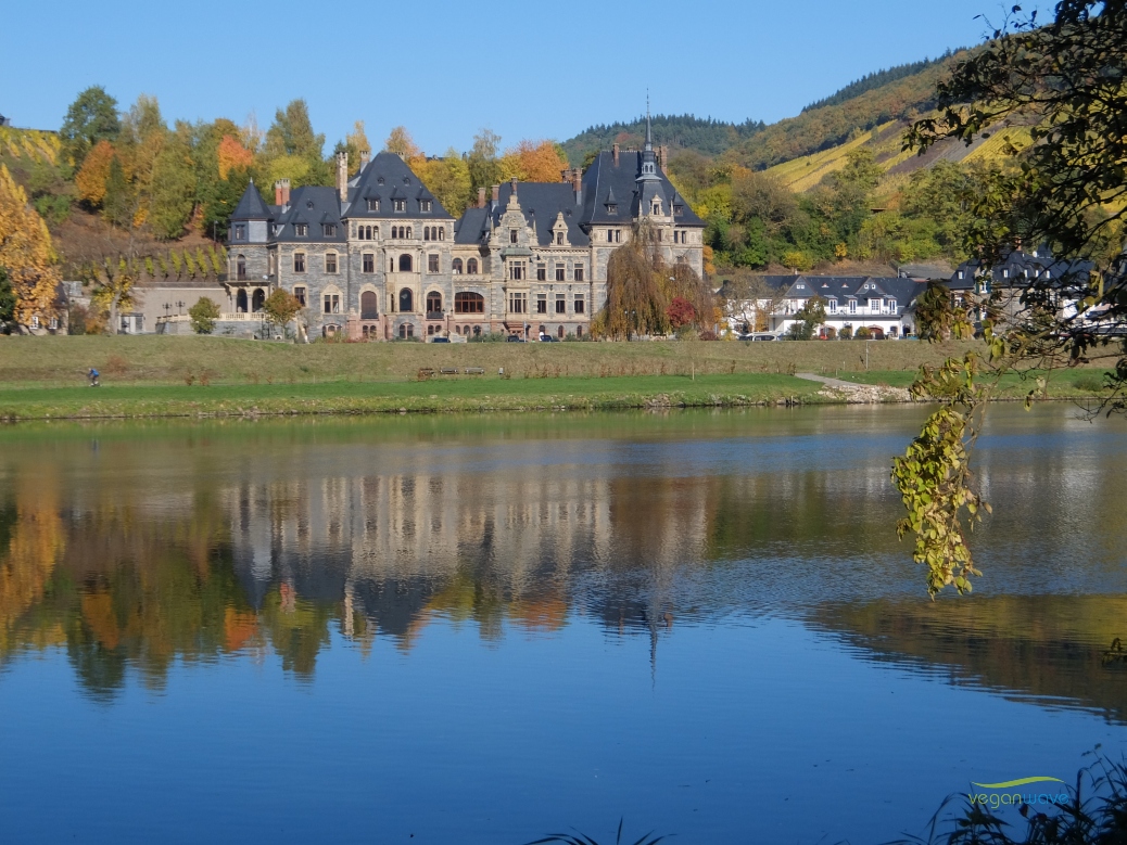 Hotel Nicolay Zeltingen