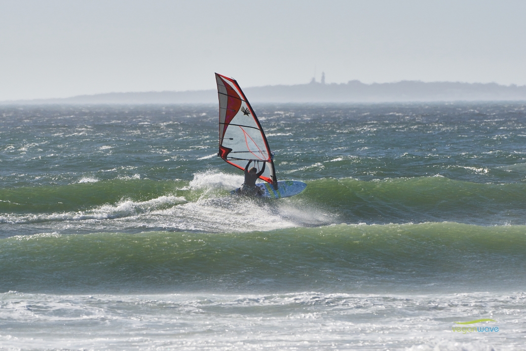 veganwave windsurfing