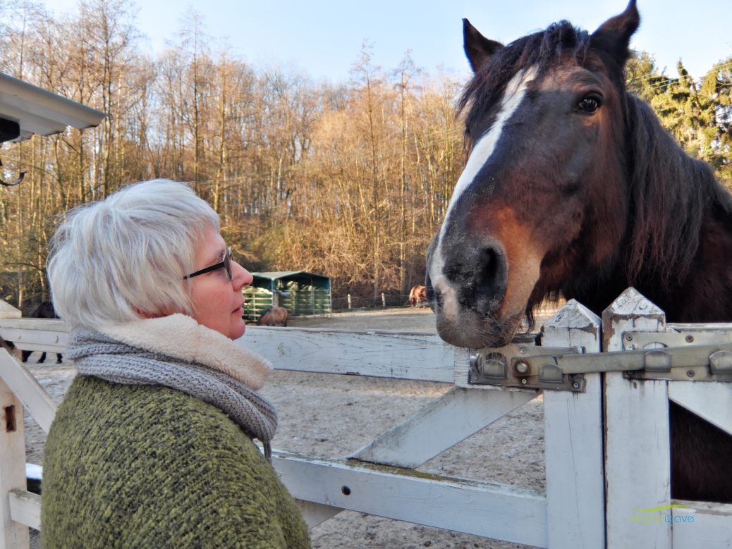 Tierschutzhof im Ruhrtal