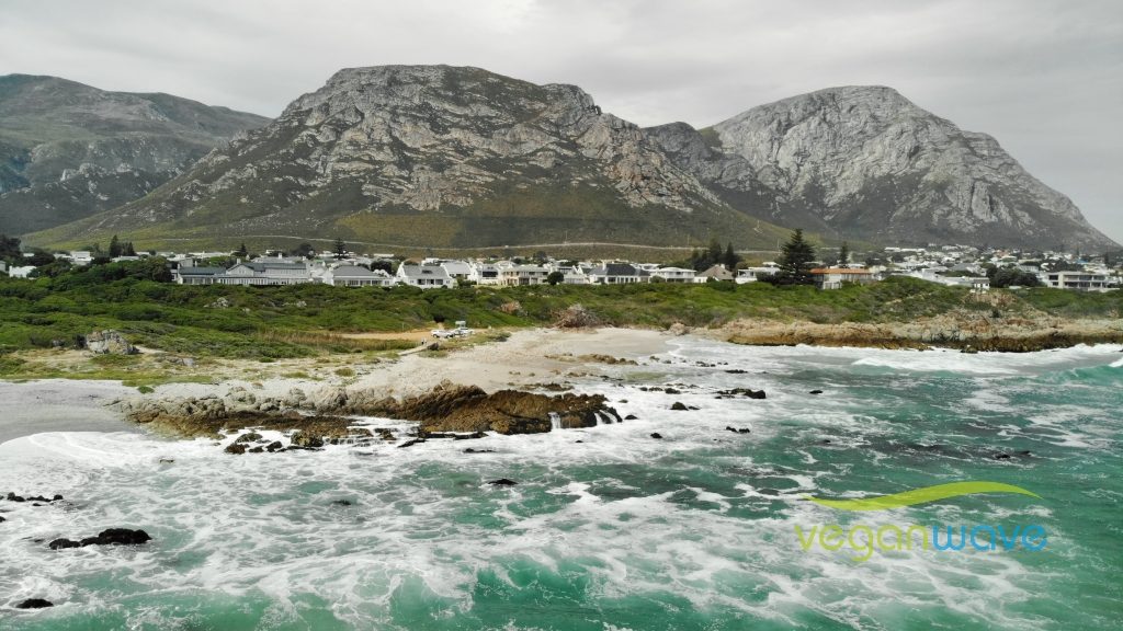 Hermanus